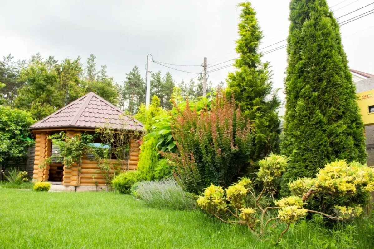 https://groznyj.tgv-stroy.ru/storage/app/uploads/public/637/ef4/fb3/637ef4fb3605f391429275.png